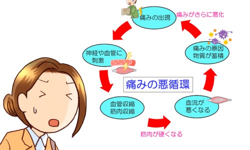 波斯湾玛瑙值钱吗-波斯玛瑙功效网 - 网站提供波斯玛瑙好不好小常识、波斯玛瑙好不好